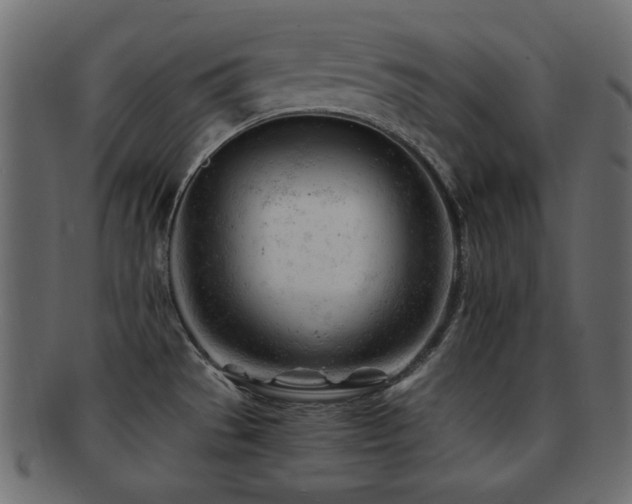 X0000092311529200709141343