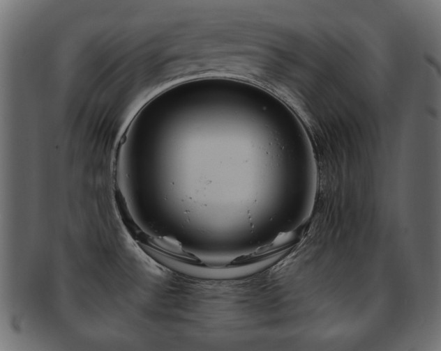 X0000092311532200709141343