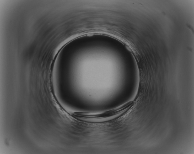 X0000092311534200709141343