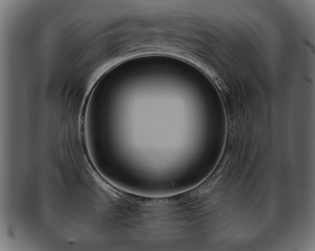 X0000092311535200709141343