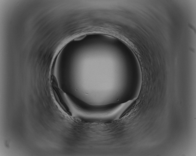 X0000092311536200709141343