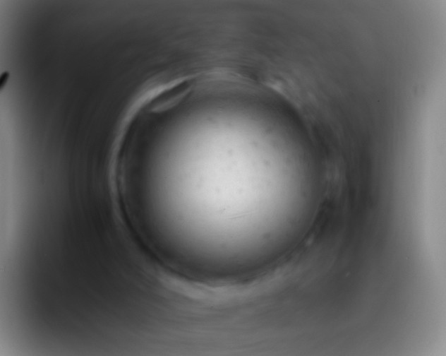 X0000092310006200709211257