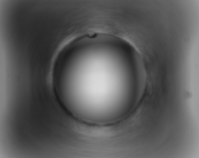 X0000092310008200709211257
