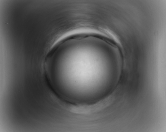 X0000092310009200709211257