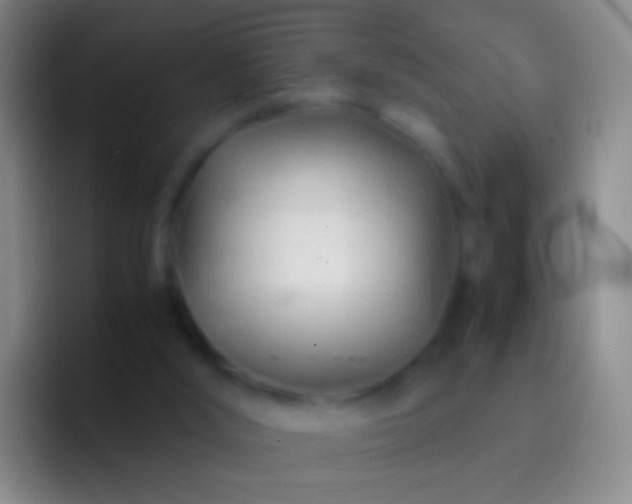 X0000092310012200709211257