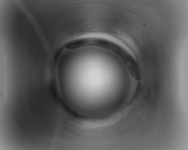 X0000092310017200709211257