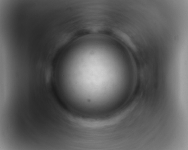 X0000092310018200709211257