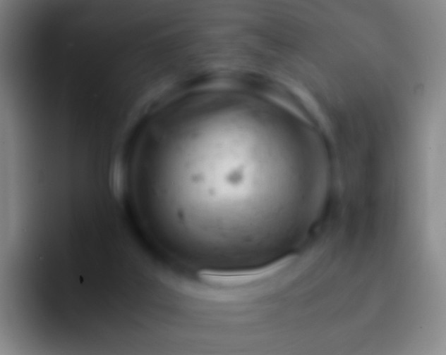 X0000092310019200709211257