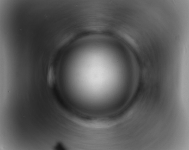 X0000092310020200709211257
