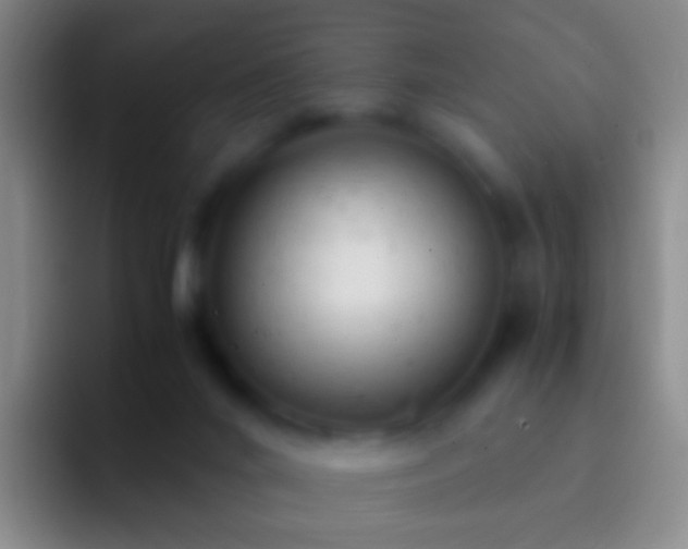 X0000092310024200709211257
