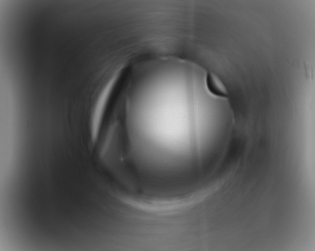 X0000092310027200709211257