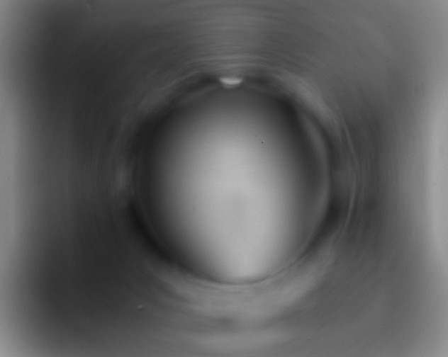 X0000092310031200709211257