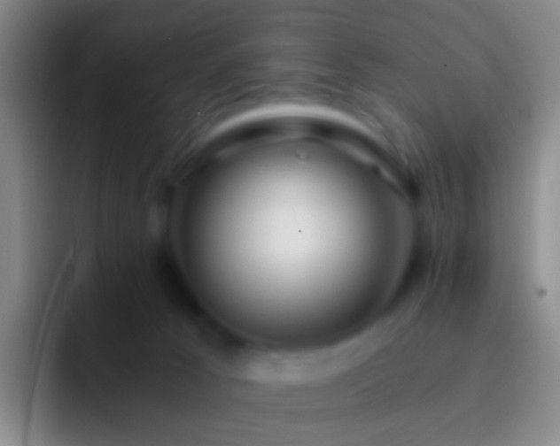 X0000092310033200709211257