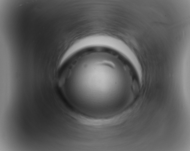 X0000092310039200709211257