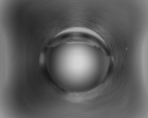 X0000092310041200709211257