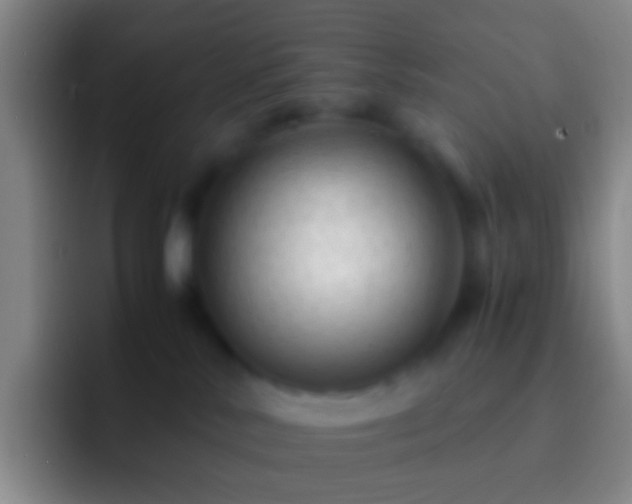 X0000092310042200709211257