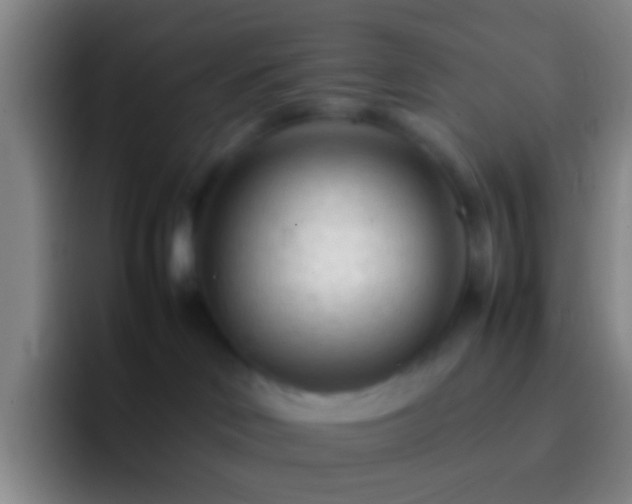 X0000092310046200709211257