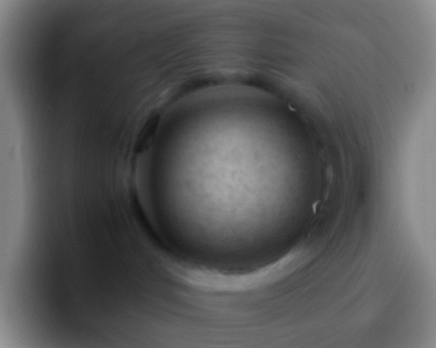 X0000092310048200709211257