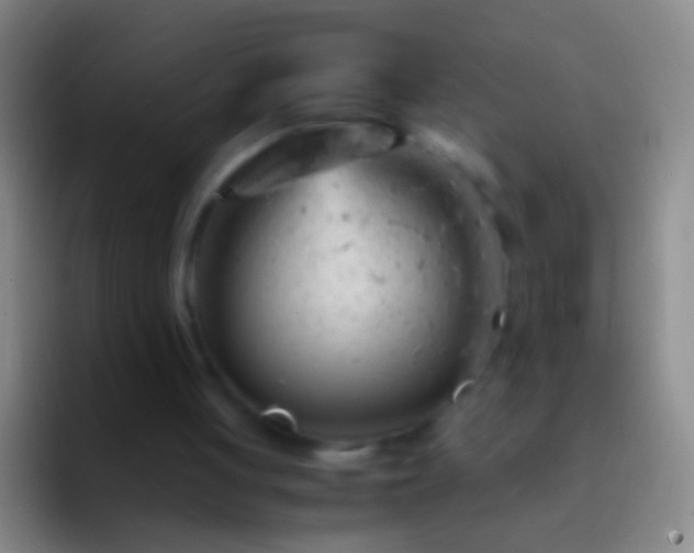 X0000092310051200709211256