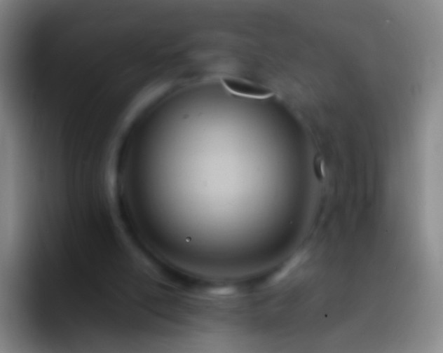 X0000092310054200709211256