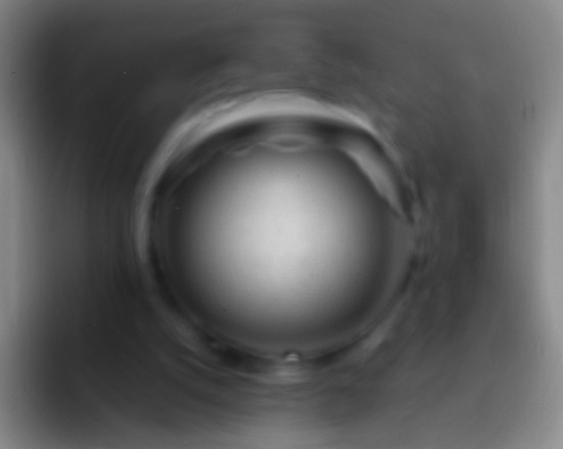 X0000092310056200709211256