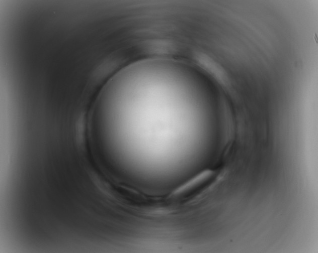 X0000092310058200709211256