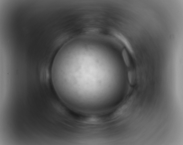 X0000092310059200709211256