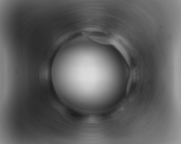 X0000092310064200709211256