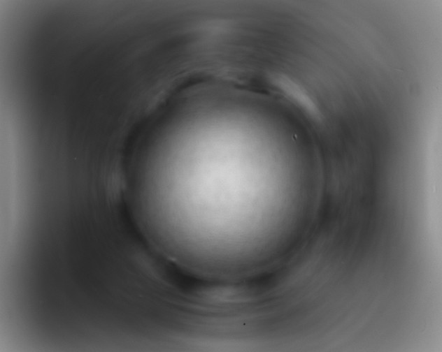 X0000092310065200709211256