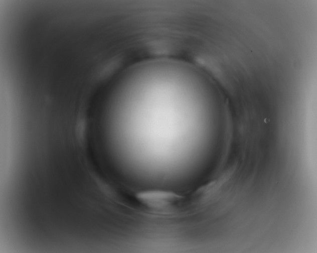 X0000092310066200709211256