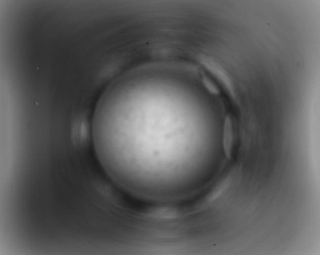 X0000092310067200709211256