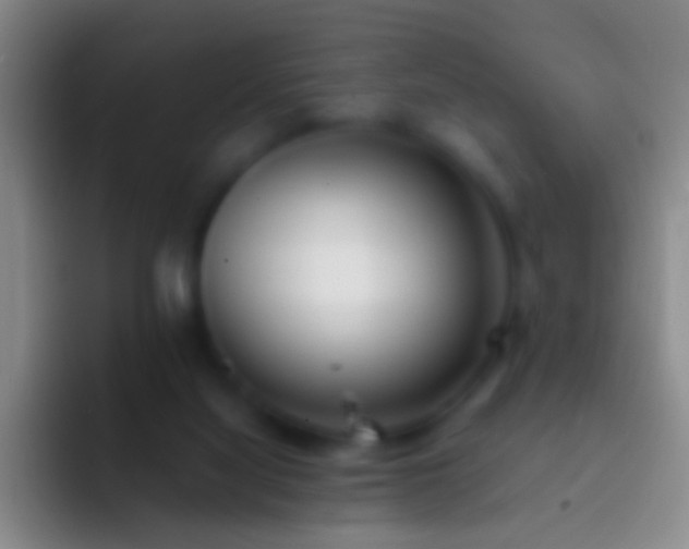 X0000092310068200709211256