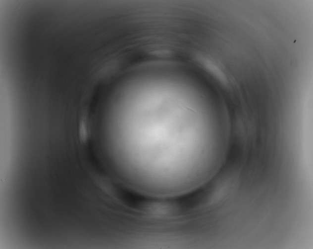 X0000092310069200709211257