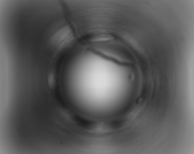 X0000092310074200709211257