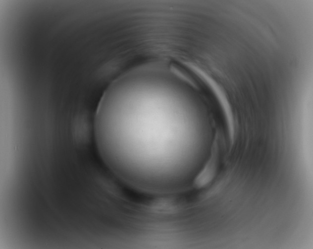 X0000092310080200709211257