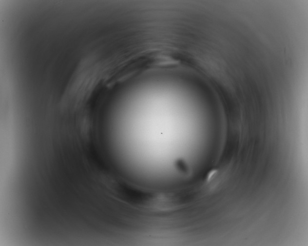X0000092310082200709211257