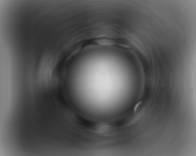 X0000092310085200709211257