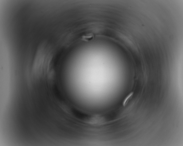 X0000092310087200709211257
