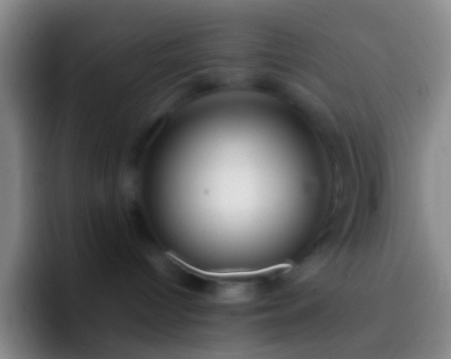 X0000092310096200709211257