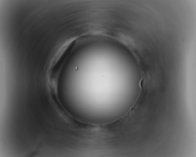 X0000092310098200709211256