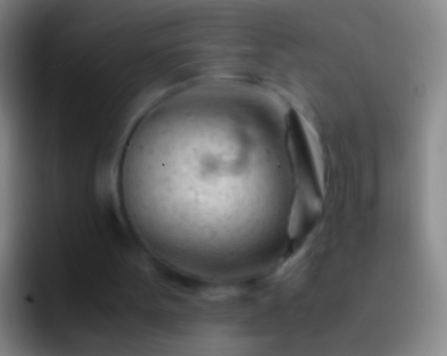 X0000092310099200709211256