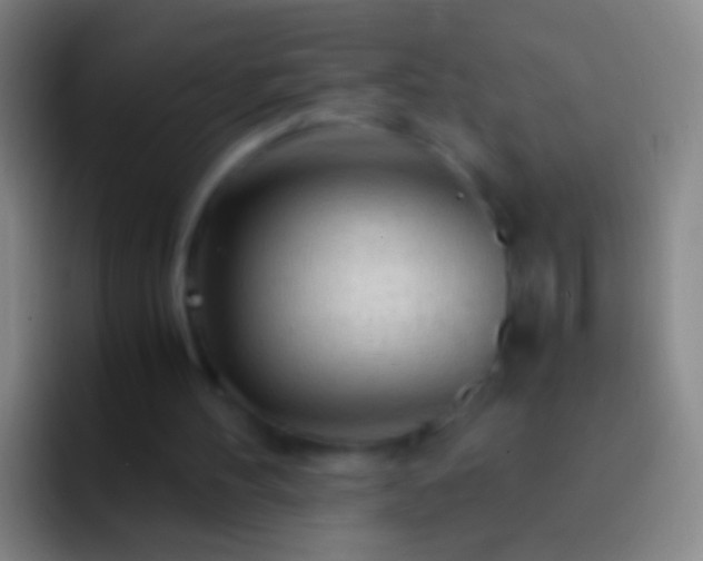 X0000092310100200709211256