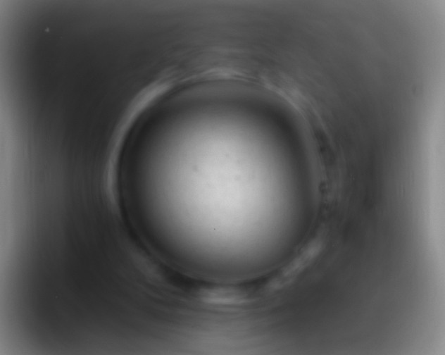 X0000092310104200709211256
