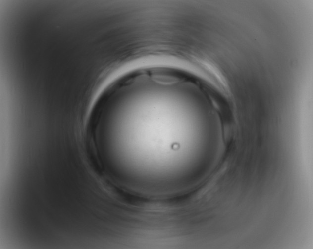 X0000092310105200709211256