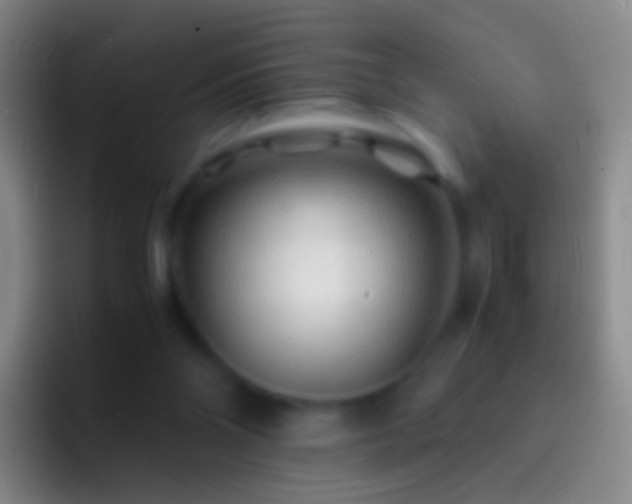 X0000092310110200709211256
