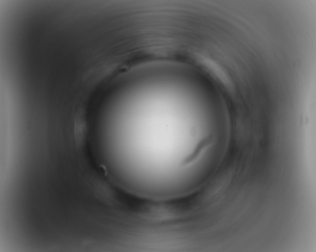 X0000092310113200709211256