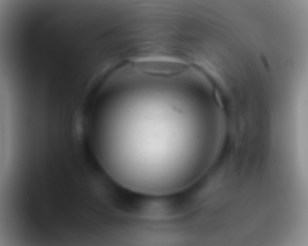 X0000092310115200709211256