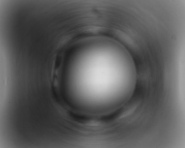 X0000092310119200709211256
