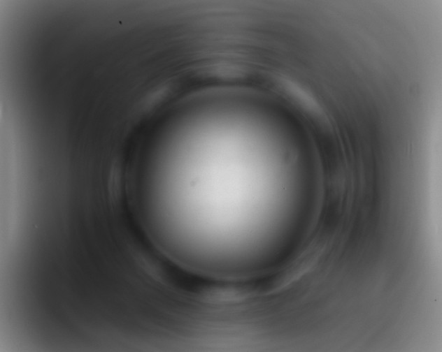 X0000092310120200709211256
