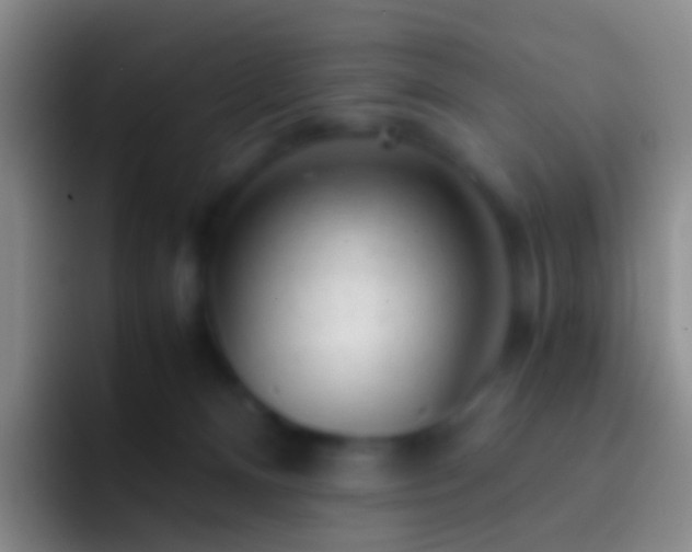X0000092310128200709211256